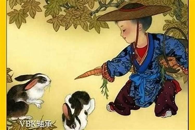 生肖兔1987年2025年运势如何 生肖兔1987年2025年全年运势