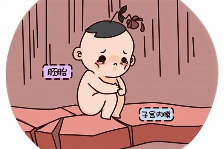 2025犯太岁最凶三个属相