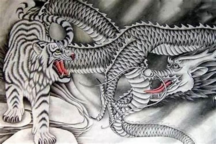 虎女和龙男配吗