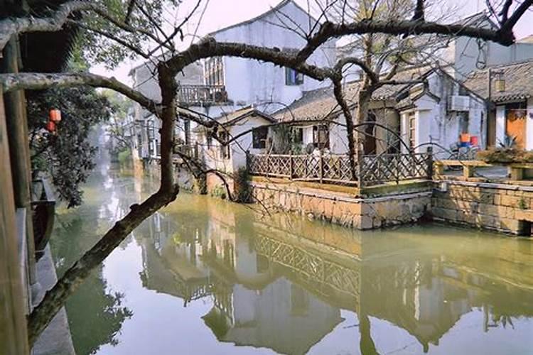 国庆上海出发自驾游4天去哪里比较好玩,崇明金茂凯悦酒店周边景区百度...