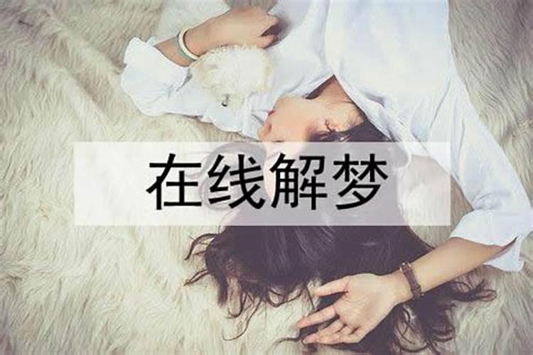 属鼠女和属鸡男的适合做夫妻吗