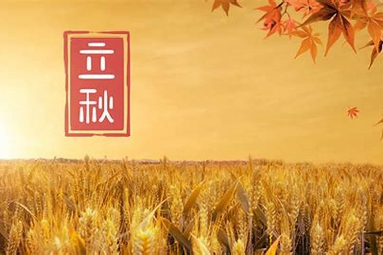 欢度中秋作文