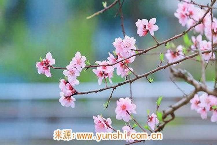 男人招桃花很灵的老方法