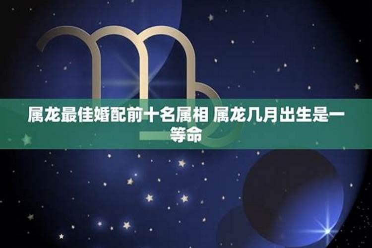 龙的最佳配偶属相属龙的和什么属相最配
