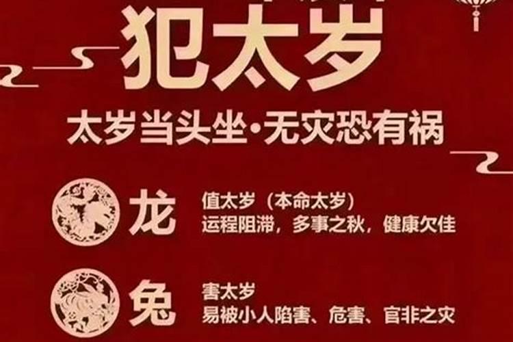 属猪2025年犯太岁怎么化解