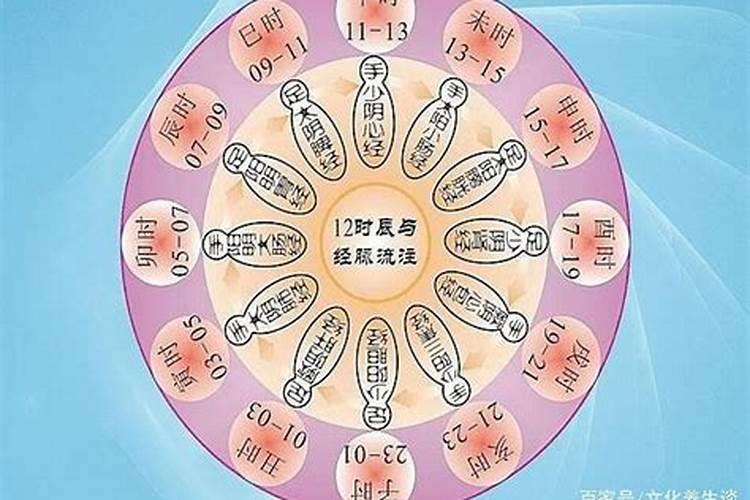 2024年属狗人的全年运势详解,属狗人2022年全年运势如何？