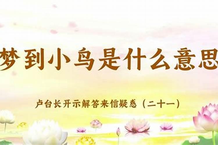 皈依后,只能有一个师傅,上师吗？可以有多个吗？