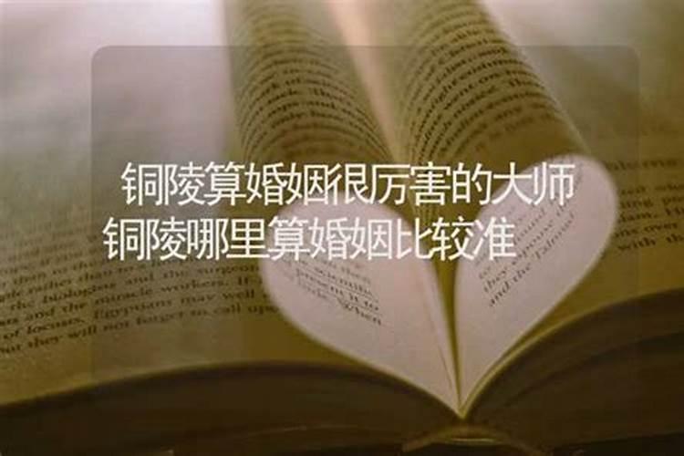 看手相算命软件