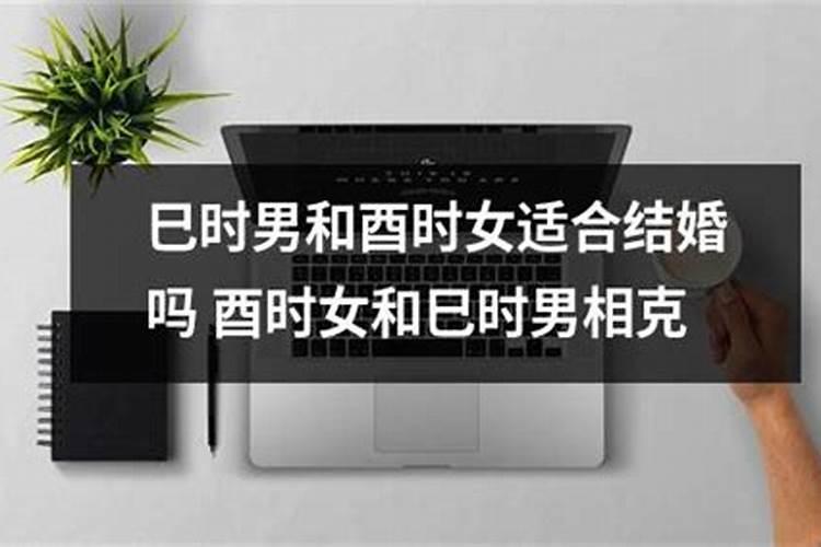 为什么属相相合也离婚了