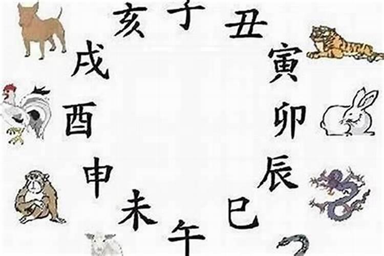 金口诀中的三合是什么