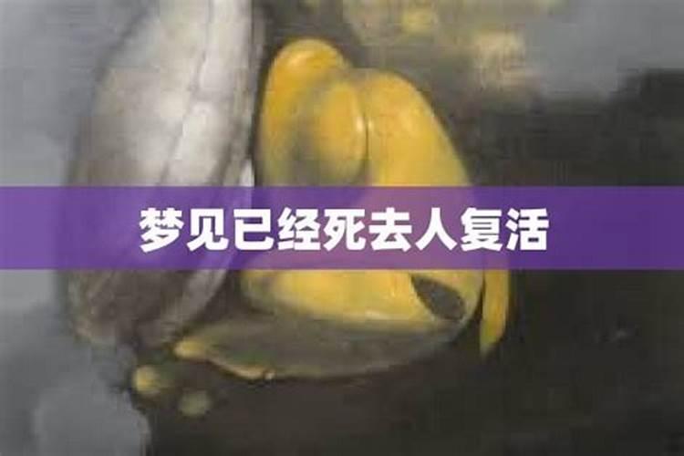 梦到死去的亲人在梦里又死了一次