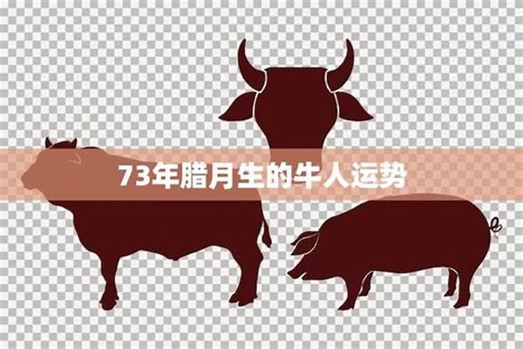 我看看我是什么星座1973出生腊月初一