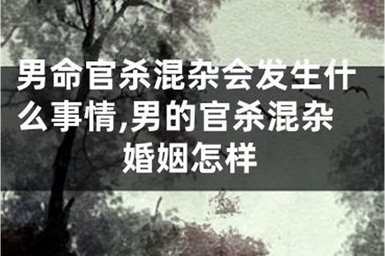 秋分是几月几日 秋分节气的特点和风俗