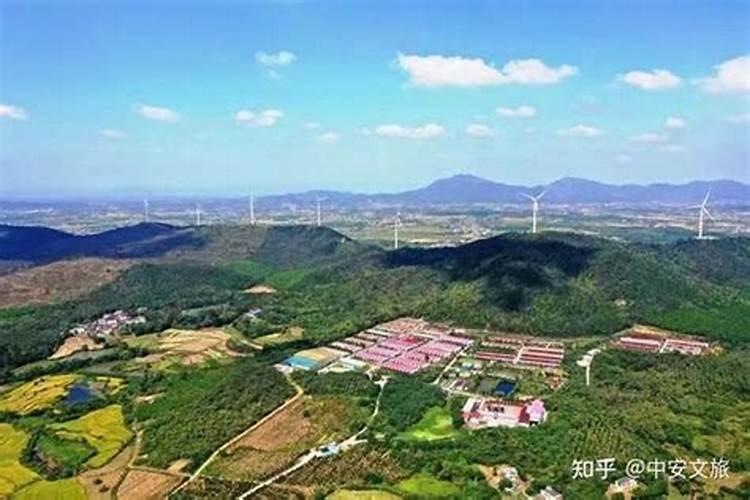 壮族三月三的活动