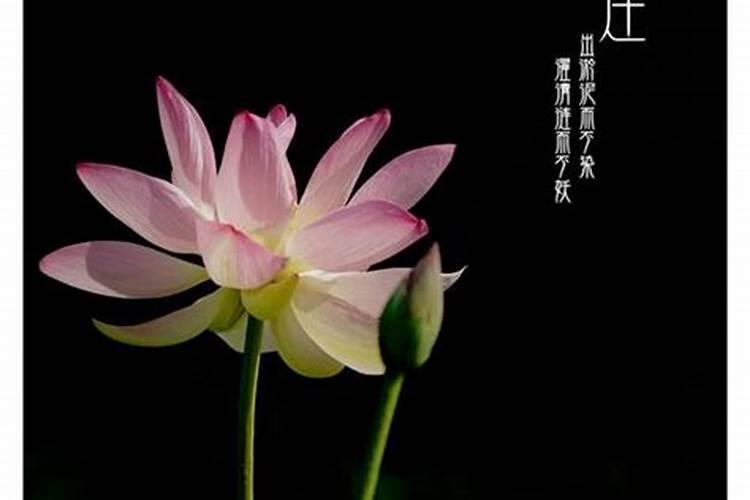 女人梦到自己坐牢了预示什么