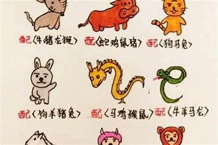 属相婚配到底准不准确,能不能相信属相婚配呢