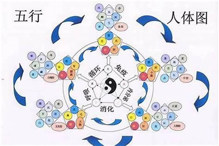 属相婚配可不可行 怎样正确地看待属相婚配