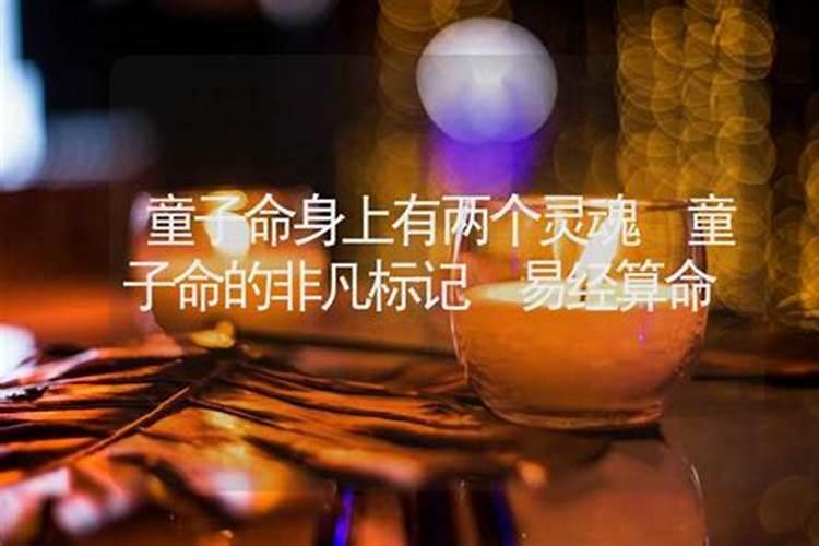 生肖兔2025运势详解