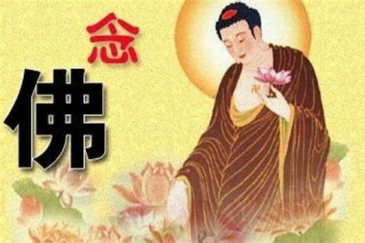 信佛教,如何为堕胎的孩子念佛赎罪？