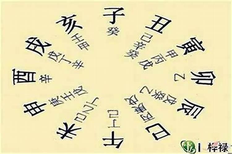 藏干十神是什么意思