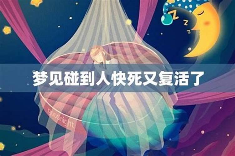 79年属羊45岁2025年运势