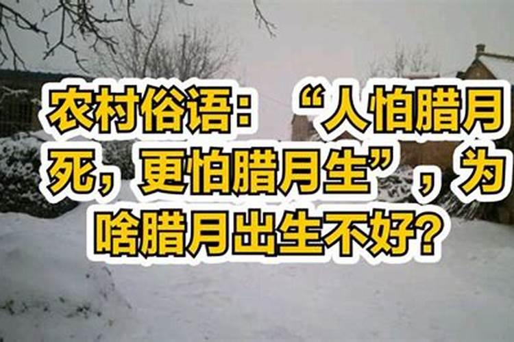 2025腊月初八日子怎么样