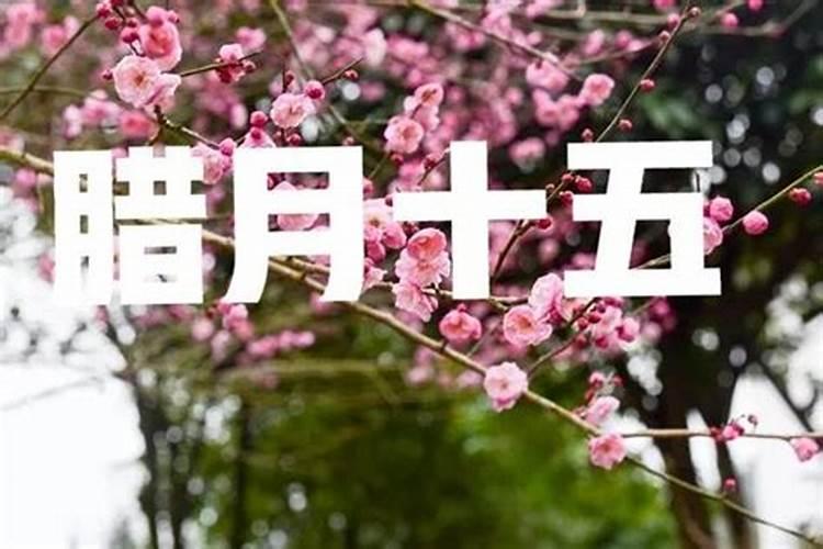 腊月十五出行好不好