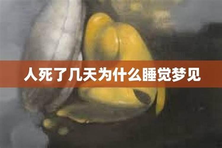 连续梦见死人是什么预兆