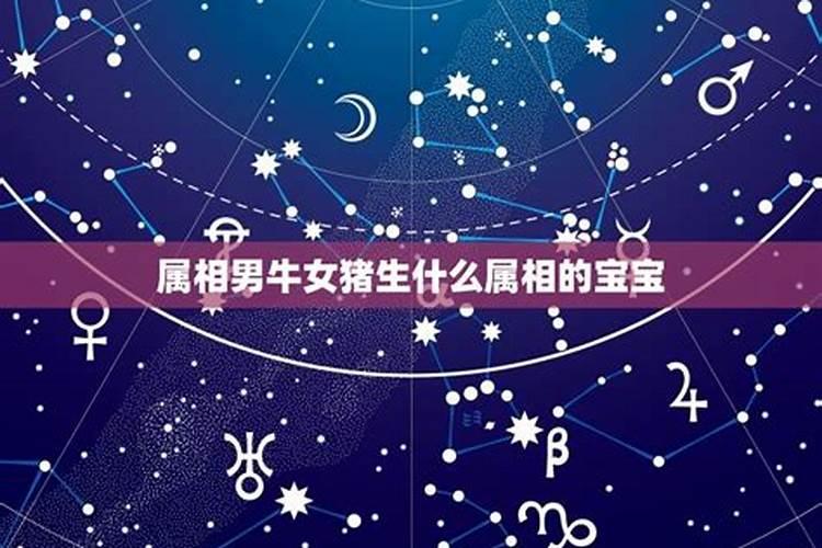 属牛一生的命运如何