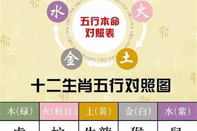 如何判断自己是金木水火土命