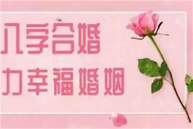 2023年的兔宝宝命里缺什么 2023年属兔起名字参考