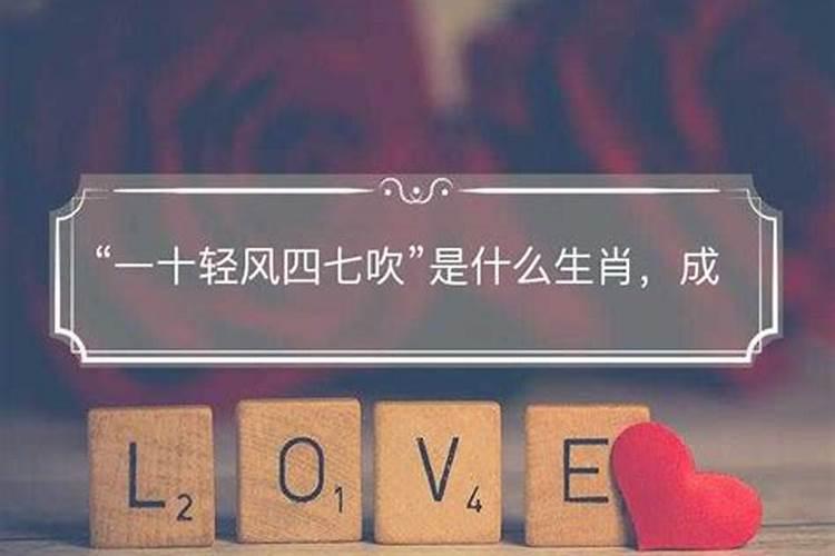 四七代表什么生肖