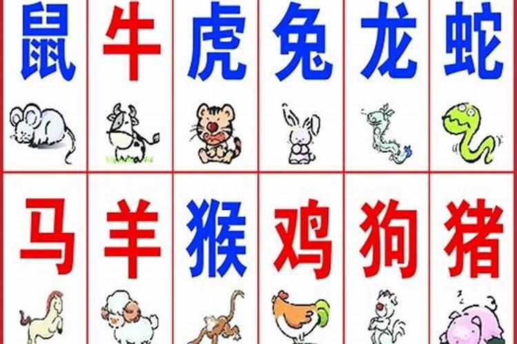 十二生肖我老大是什么动物