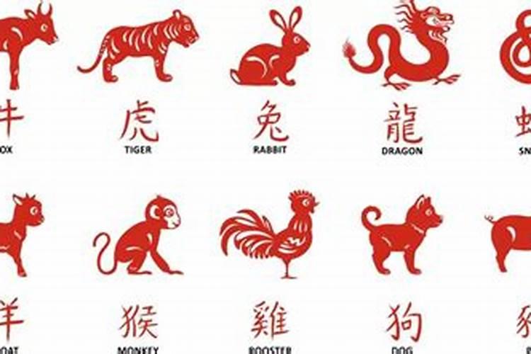 12生肖数老大