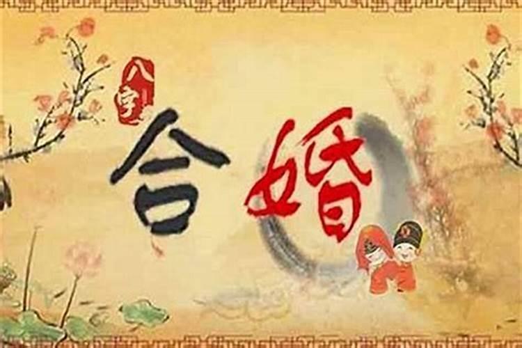 清明特别节目