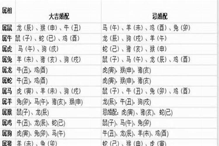 1966年属马人2025年运势如何