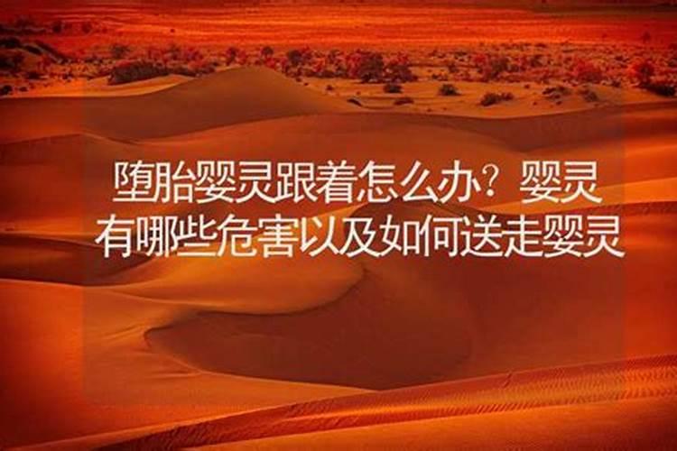 属猪的几月出生最好命(属猪的人哪个月份出生的命运最好)