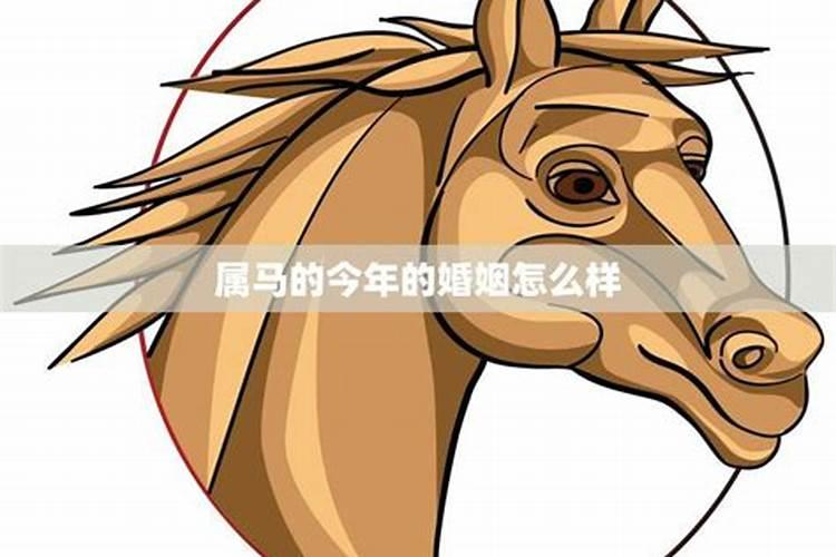生肖马今年多大年龄2024 2024年属马的多大