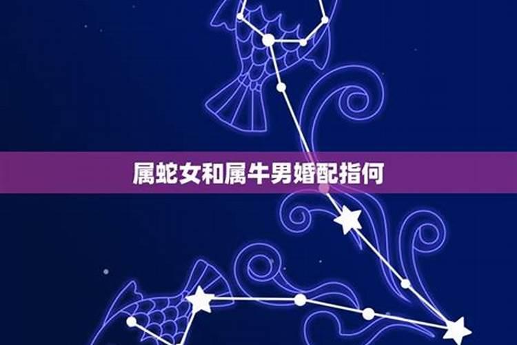 八字算命详解详批免费