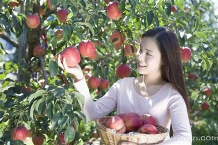 孕妇梦到满树苹果预示什么意思