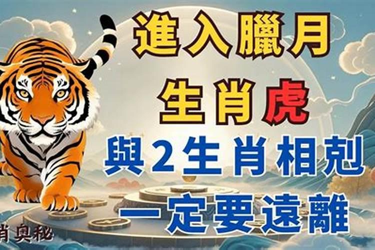 农历十二月的虎命运怎么样 一生做事需谨慎？