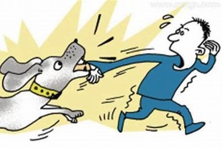 如何放生,放生有何讲究？