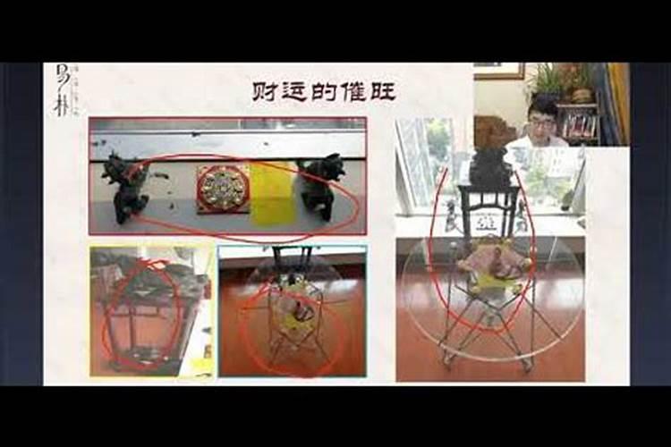 1969年正月属鸡是什么命 爱情磨难多