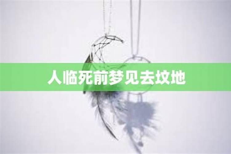 梦见往坟地坟地的预兆