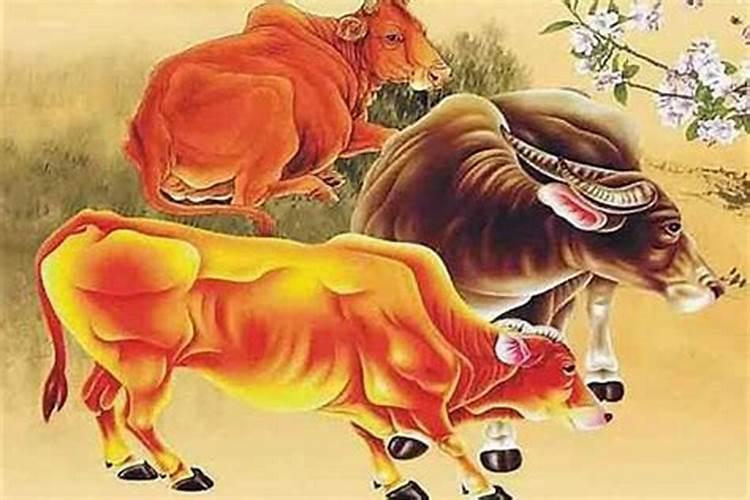 小年洗澡的说法 小年这天洗澡可以吗