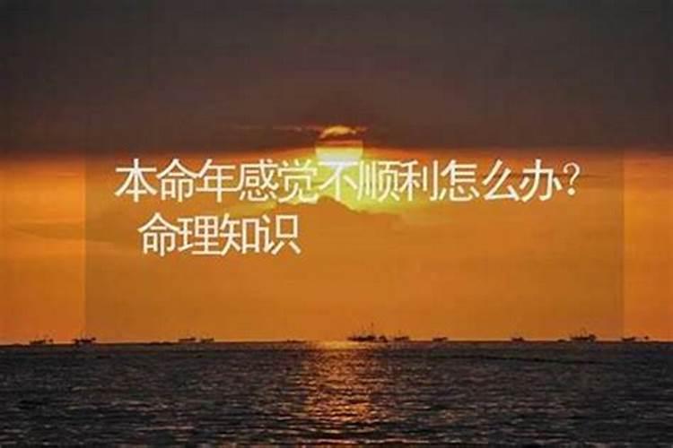 属蛇男人为什么怕36岁, 本命年就真的财运不好吗？