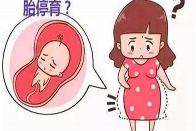 牛和狗在一起对谁不利 丑戌相刑互相冲突