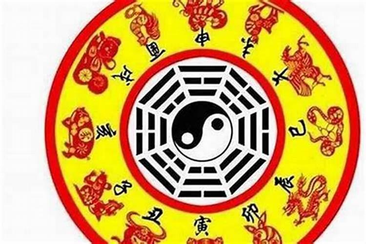 立冬和冬至吃什么食物