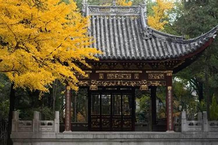 中年婚姻出现五种信号危机