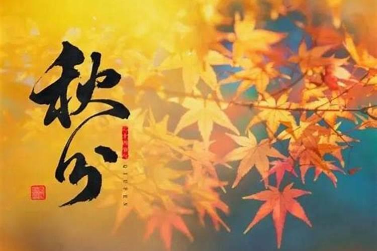 清明节扫墓带什么花好
